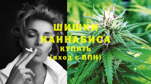 apvp Белокуриха