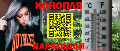 ПСИЛОЦИБИНОВЫЕ ГРИБЫ Гагарин