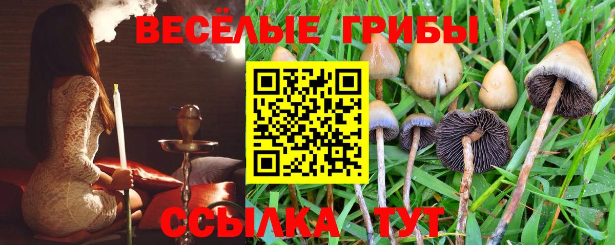 где купить наркоту  Вход с VPN  Дюртюли  Псилоцибиновые грибы Magic Shrooms 