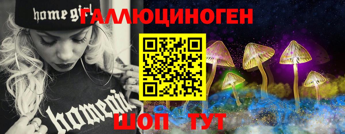 Псилоцибиновые грибы ЛСД  Дюртюли  Псилоцибиновые грибы Psilocybine cubensis 