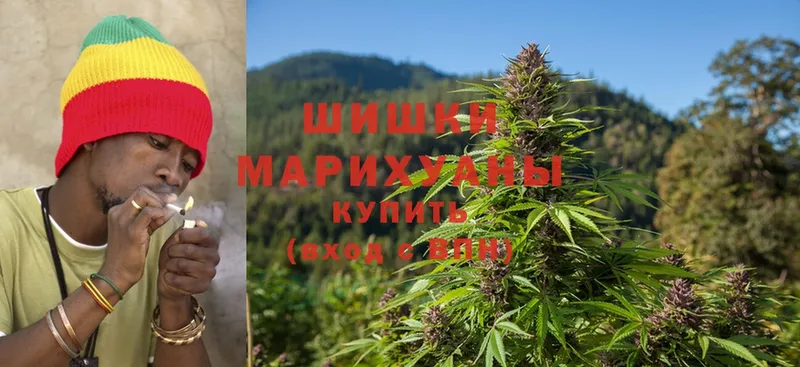 Шишки марихуана White Widow  мориарти клад  Дюртюли  закладка 